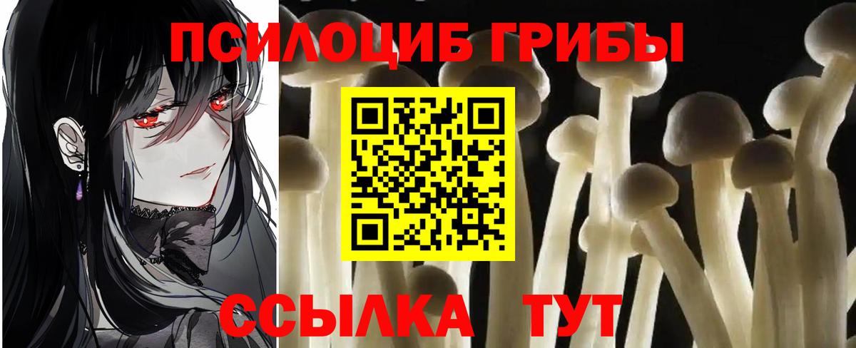 Галлюциногенные грибы GOLDEN TEACHER Полысаево